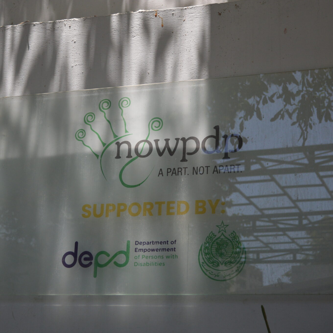 Empowering Lives: NOWPDP’s Impact on Disability Inclusion